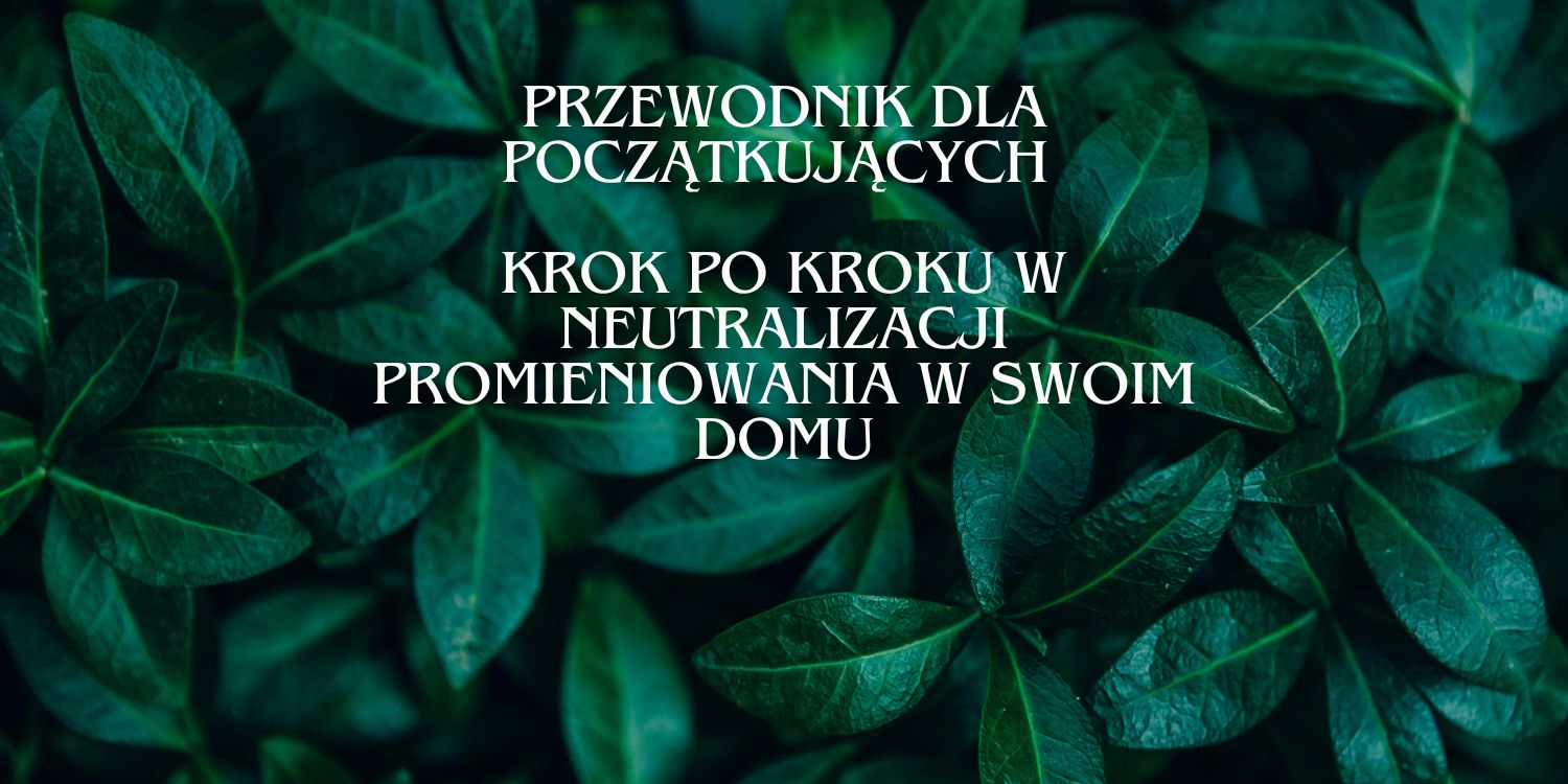 Krok po kroku w neutralizacji promieniowania w swoim domu