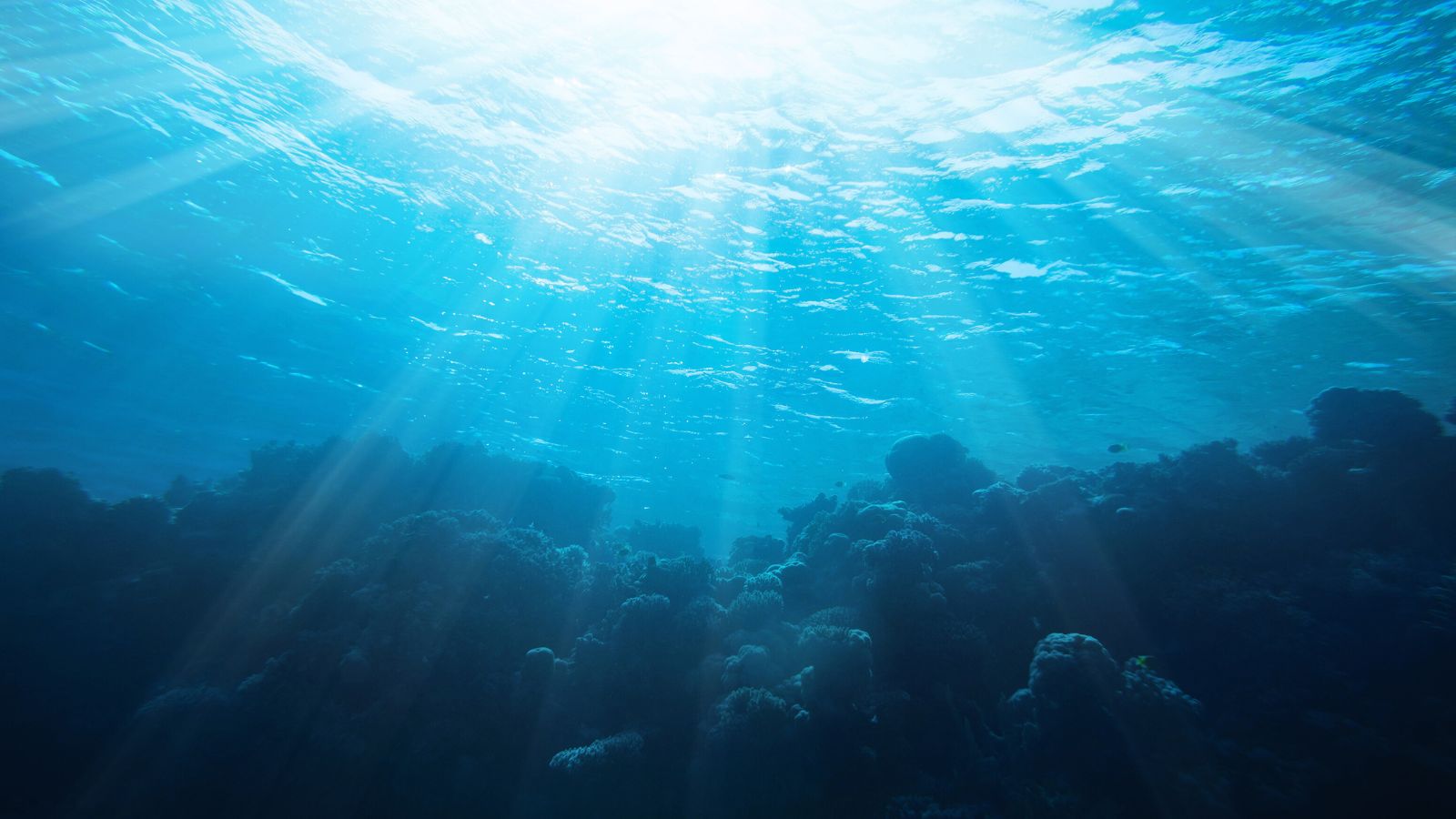 Strukturyzatory Wody Alkaicznej